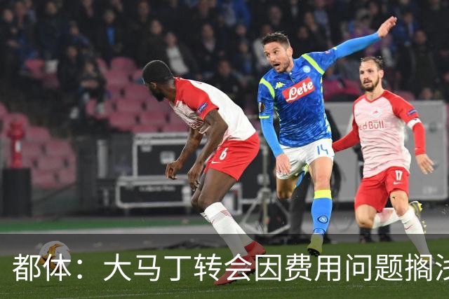 都体：大马丁转会因费用问题搁浅，尤文转而瞄准铃木彩艳维卡里奥